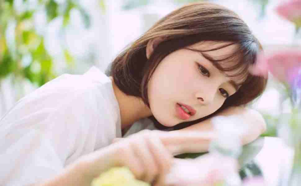 热播电视剧4